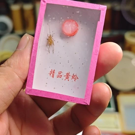 福***见两盒小黄蛉明天发