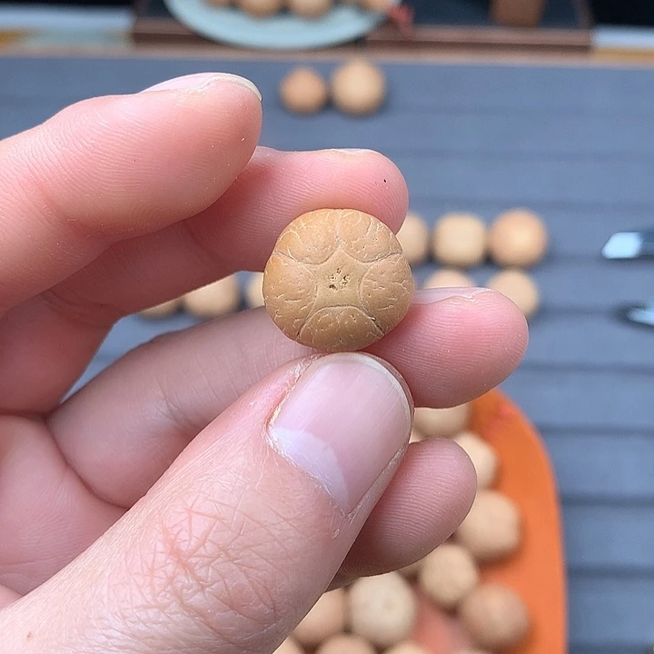 吊坠凤眼菩提17+五星，非质量问题开孔不退