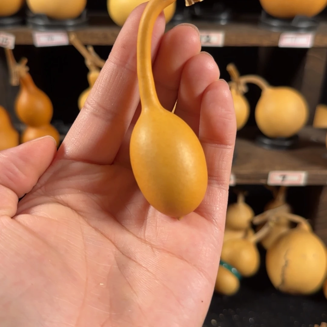 小****P葫芦葫芦葫芦葫芦葫芦