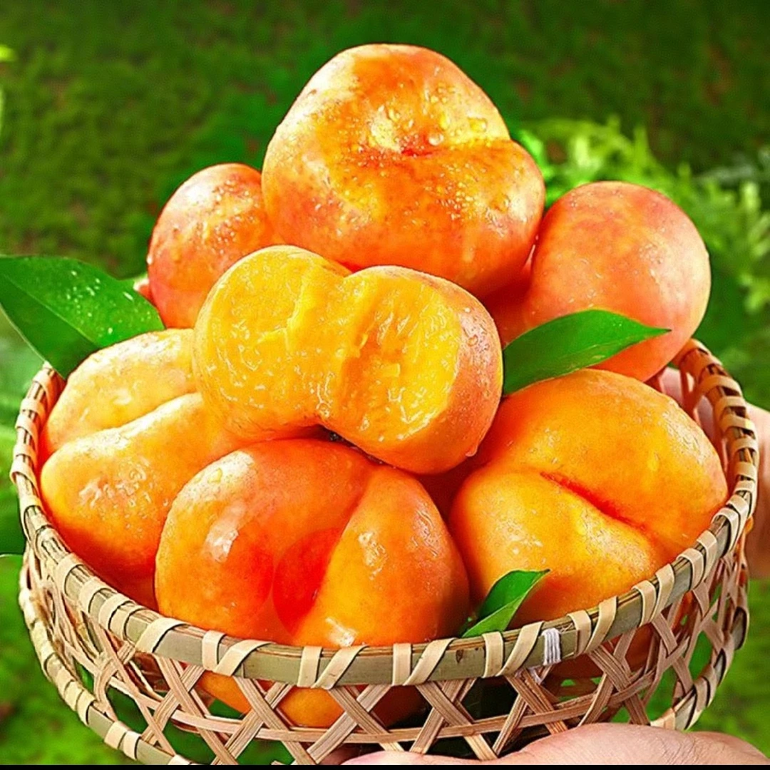 彩虹油蟠桃1000g±50g山东省