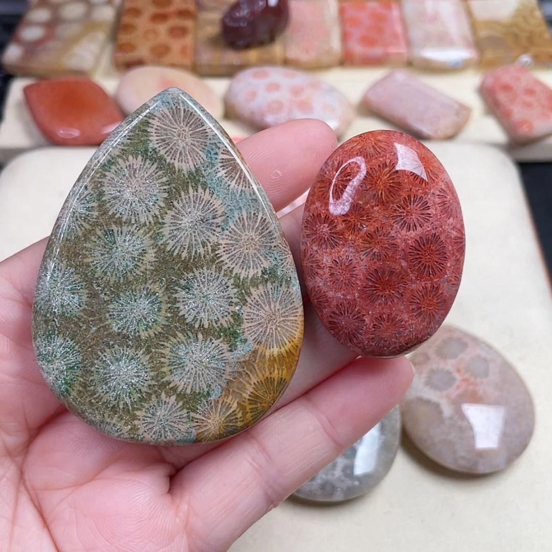 【闪购商品】未镶嵌手镯硅化玉五****鱼