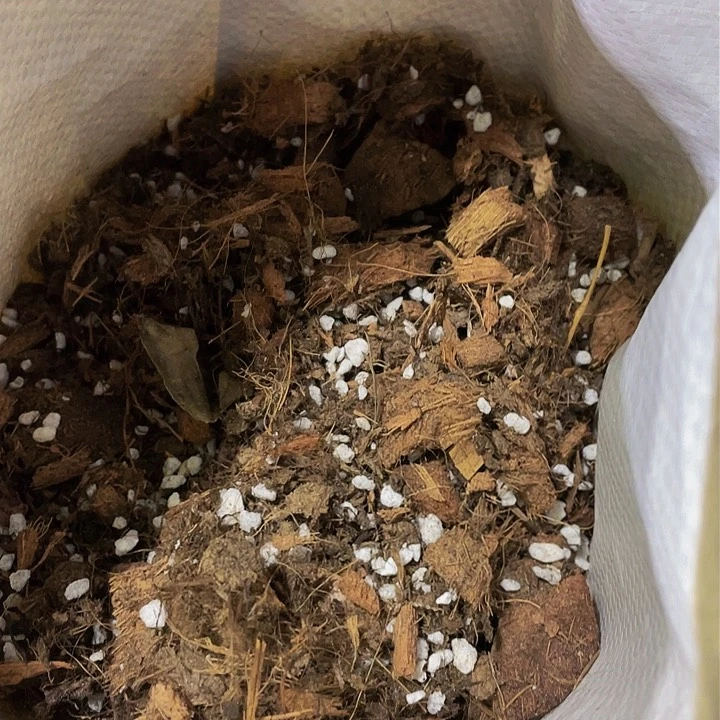 法师专用养护01号