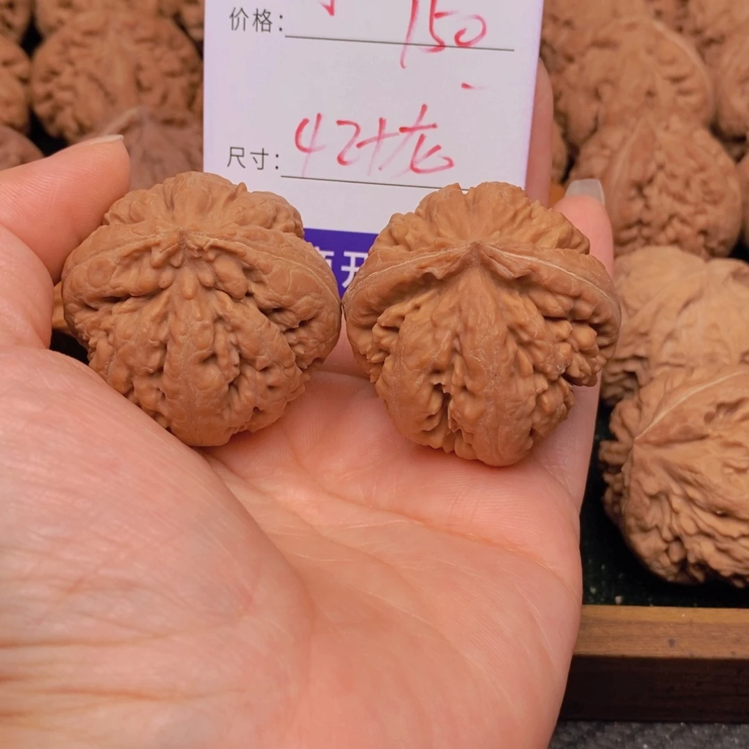 文玩核桃霸王龙核桃