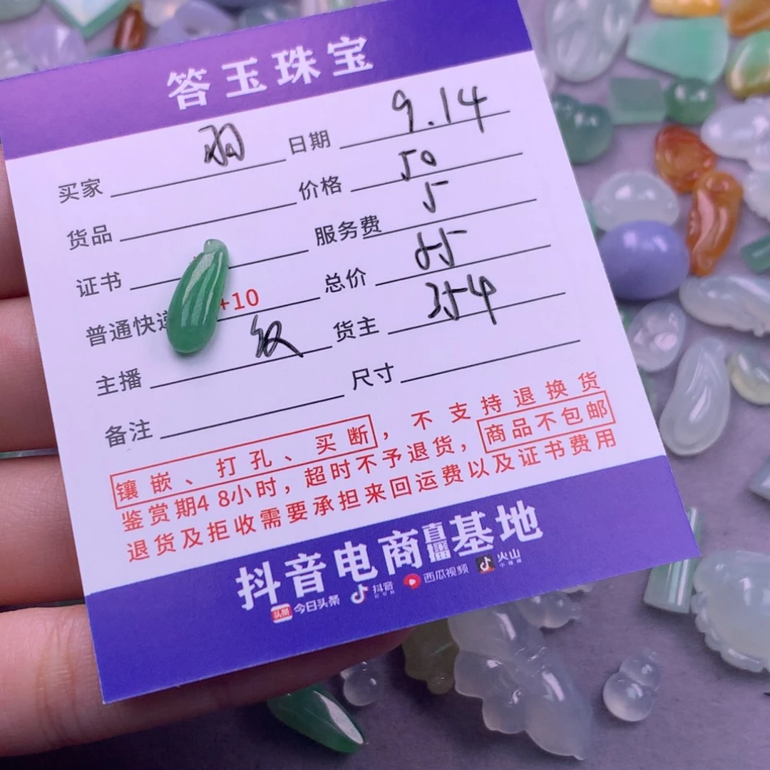 颈饰未镶嵌翡翠～*羽