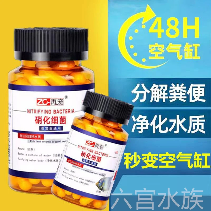 硝化细菌鱼缸用专用胶囊净水剂颗粒活菌干粉水质稳定净化水族鱼用