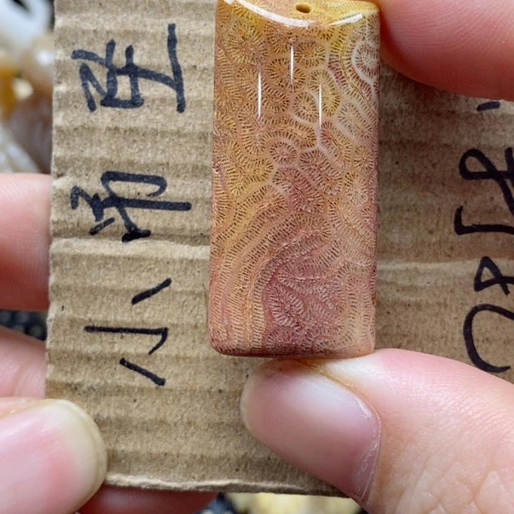 硅化珊瑚（珊瑚玉）颈饰未镶嵌