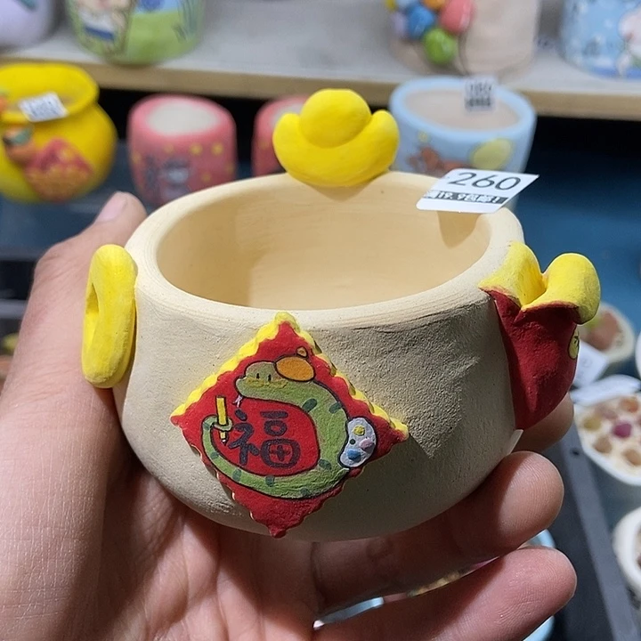 小***巴260大舅生石花肉锥