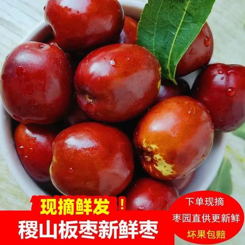 山西稷山板枣新鲜应季脆甜水果现摘现发