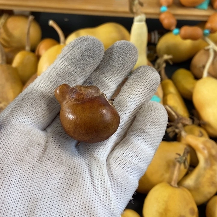 卫**刘葫芦葫芦真的