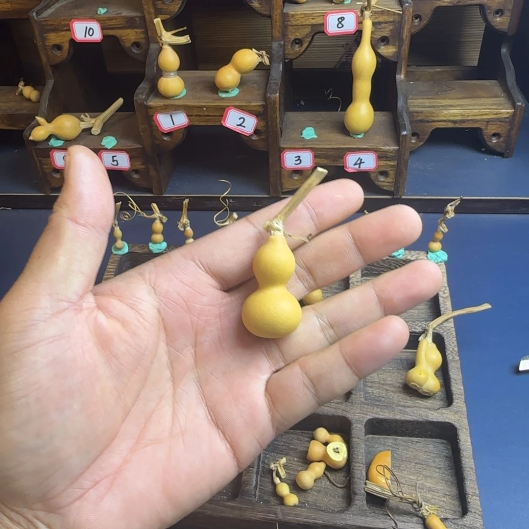 ?***我是一只小小鸟地域鬼知道了一下