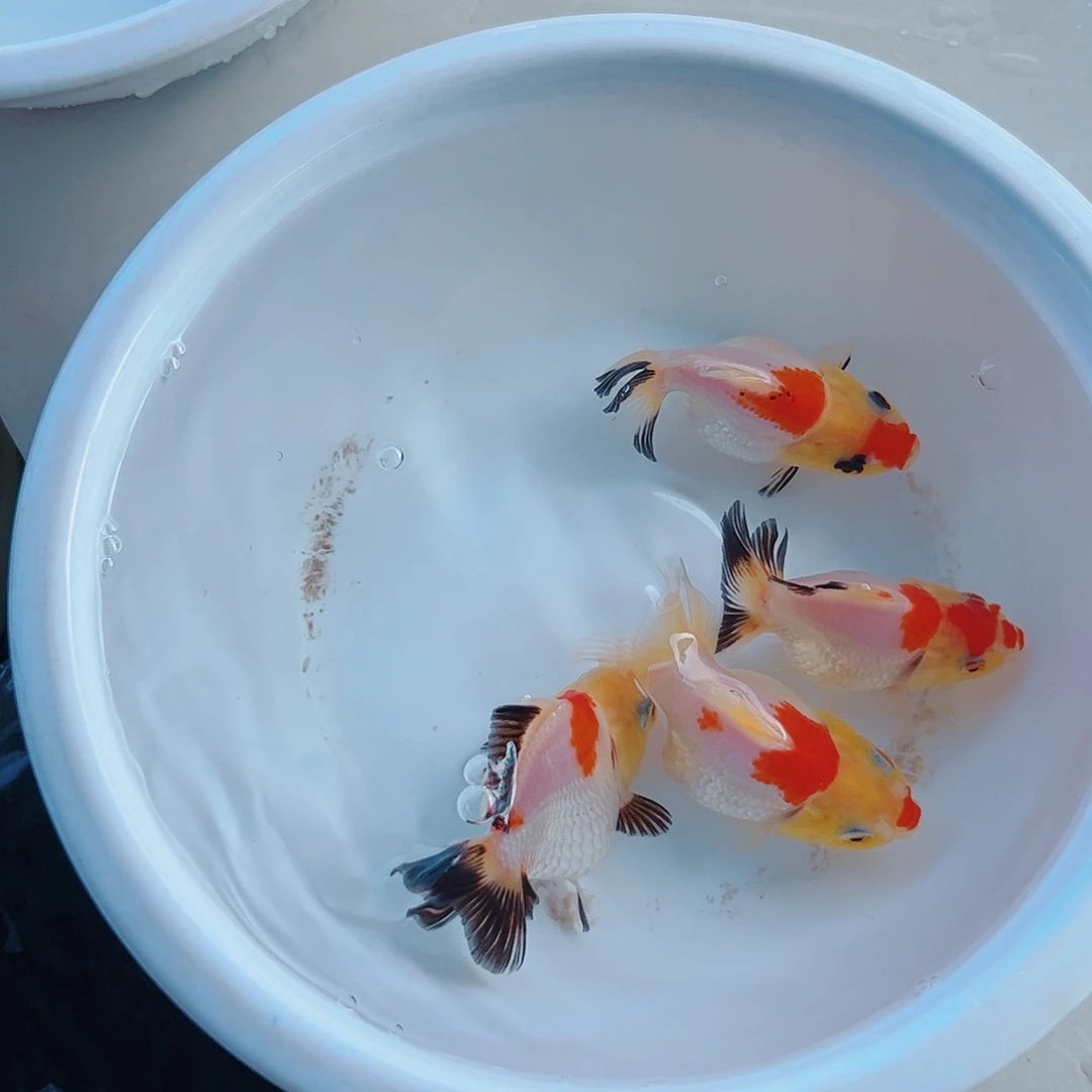 海水111111111111111