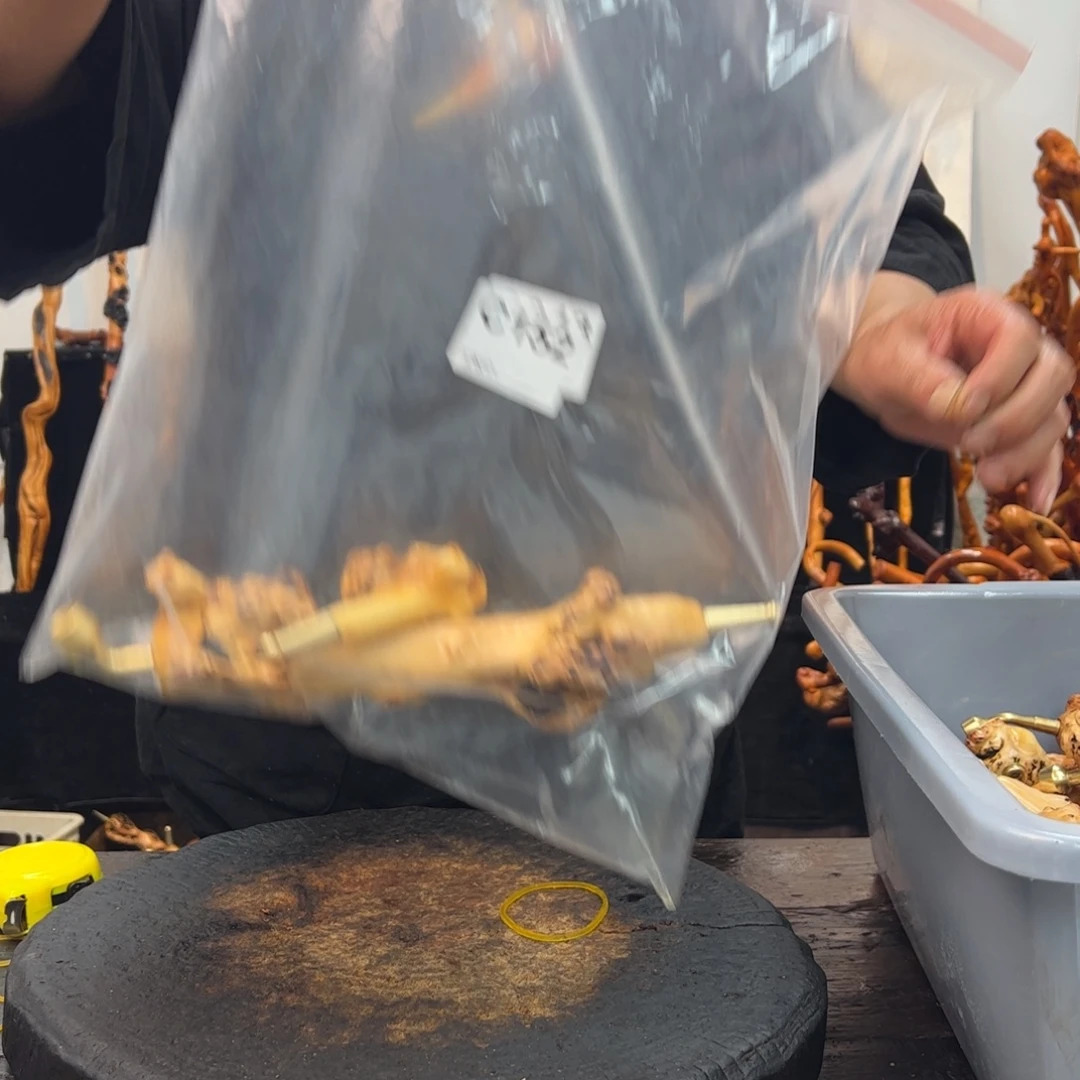 黑果木其他黑果木262