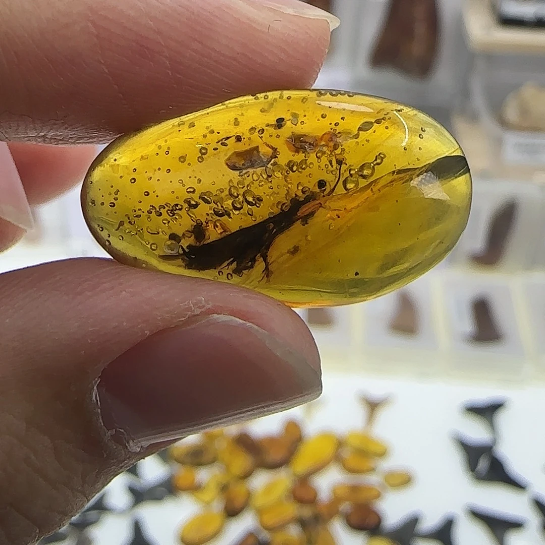 有机玻璃琥破虫破