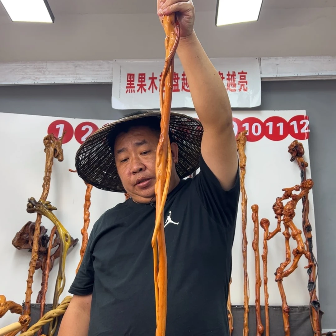 *****黑果木其他黑果木386