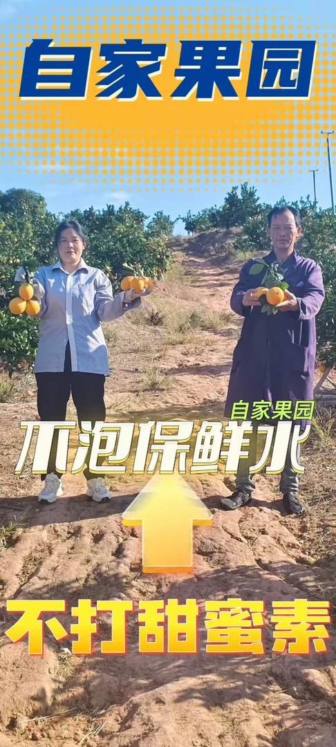 正宗赣南脐橙新鲜现摘现发巨甜多汁果园直发20斤装精品（果径75~85