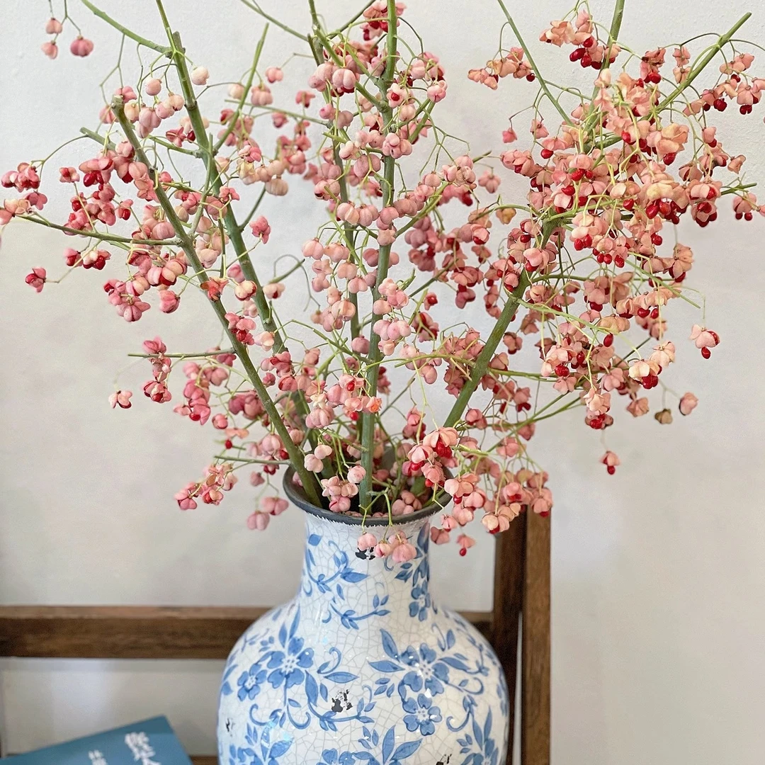 云南鲜花花束小众鲜花白杜果家庭水培鲜切花适合家居装饰青花花瓶