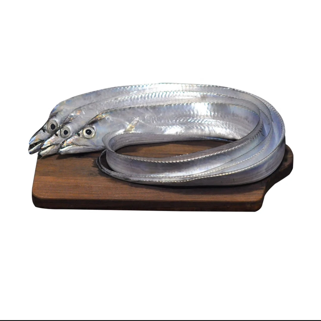 新鲜海捕钓带鱼5斤冷冻锁鲜发货半斤左右一条