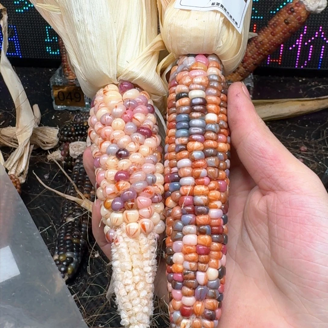 柏香籽/百香籽吊坠浮*