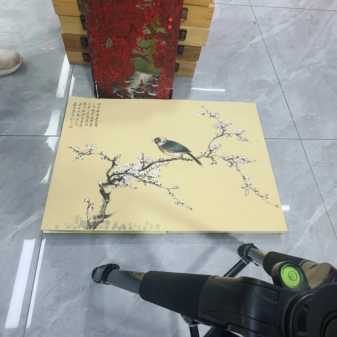 国画红皮书指出该公司