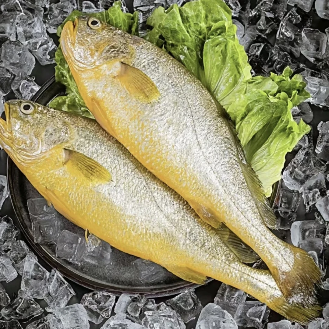 无品牌北海新鲜黄花鱼   生态大黄鱼／野生小黄鱼 1-5 现拍现称