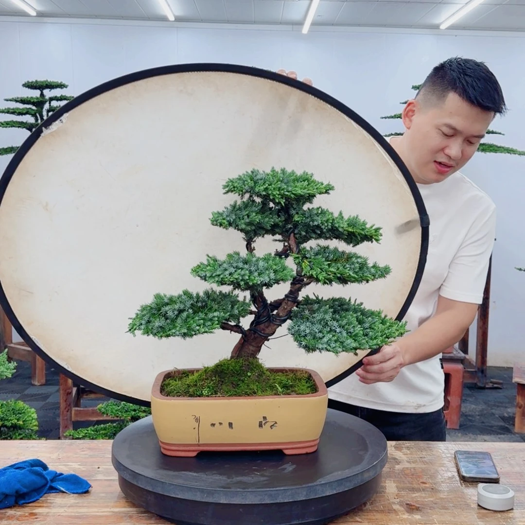 无花朵8888888888888888