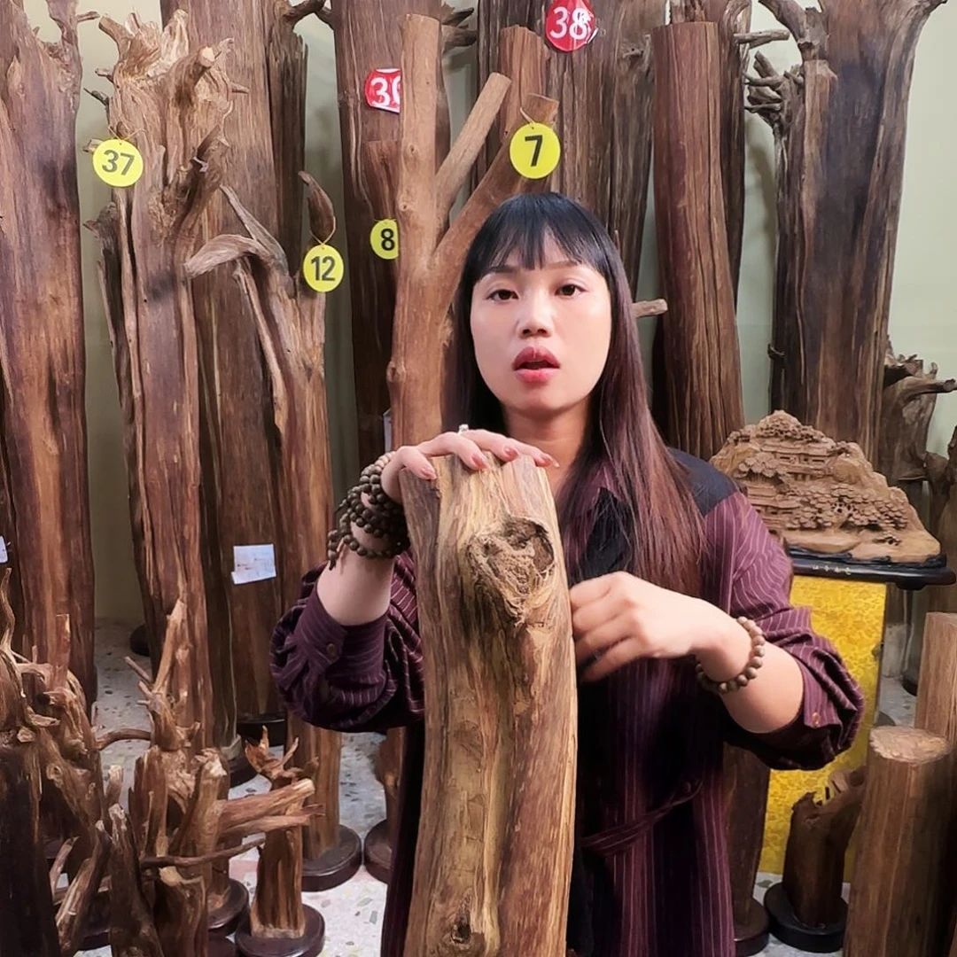 沉香沉香碎屑天然沉香原材料香料熏料