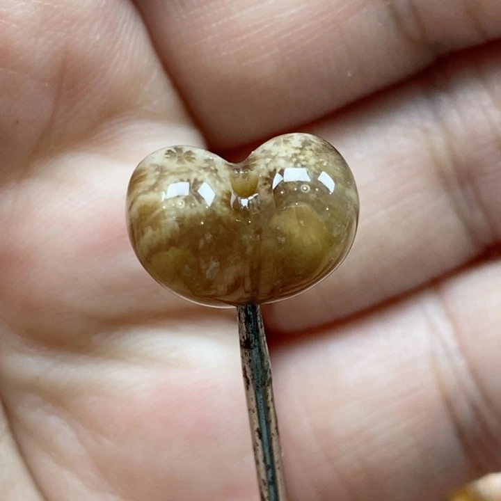 颈饰未镶嵌硅化珊瑚（珊瑚玉）