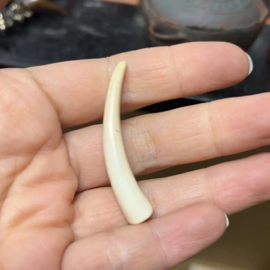 紫砂好物分享好物分享