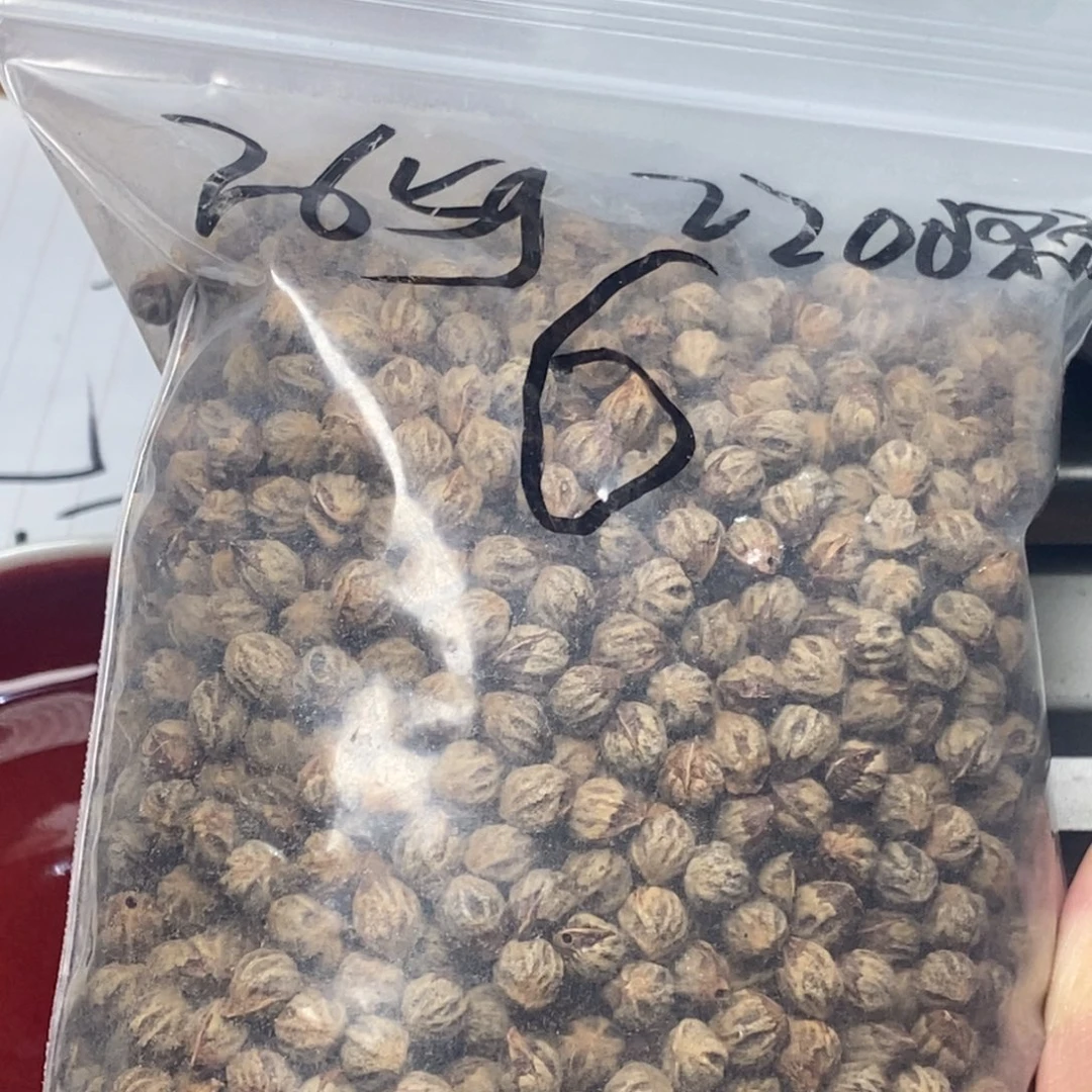 柏香籽/百香籽吊坠
