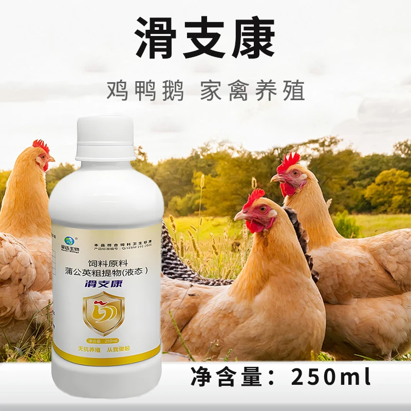 滑支康肉蛋鸡鸭鹅家禽用关节肿大饲料添加剂站不起来