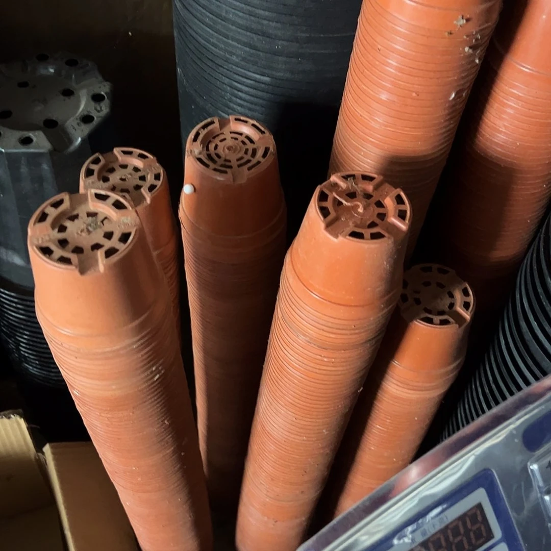 塑料红色矮泡口径8.5发100个