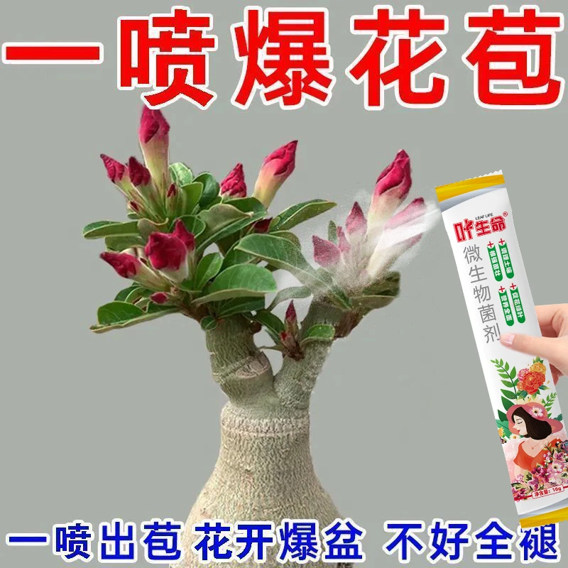 沙漠玫瑰绿植专用黄叶掉叶不开花专用绿植壮苗促开花微生物菌肥