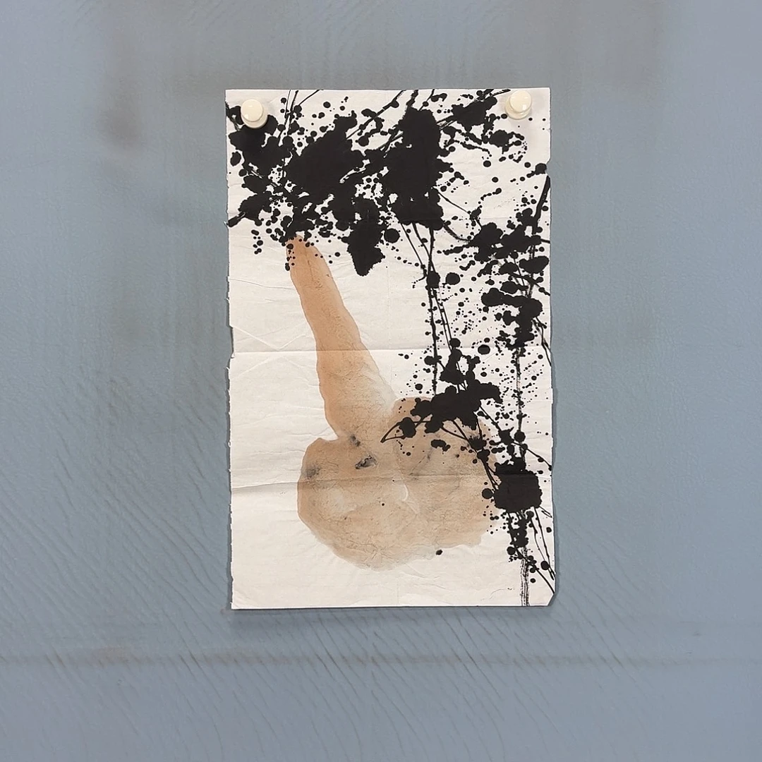 国画521 牡丹一如你初