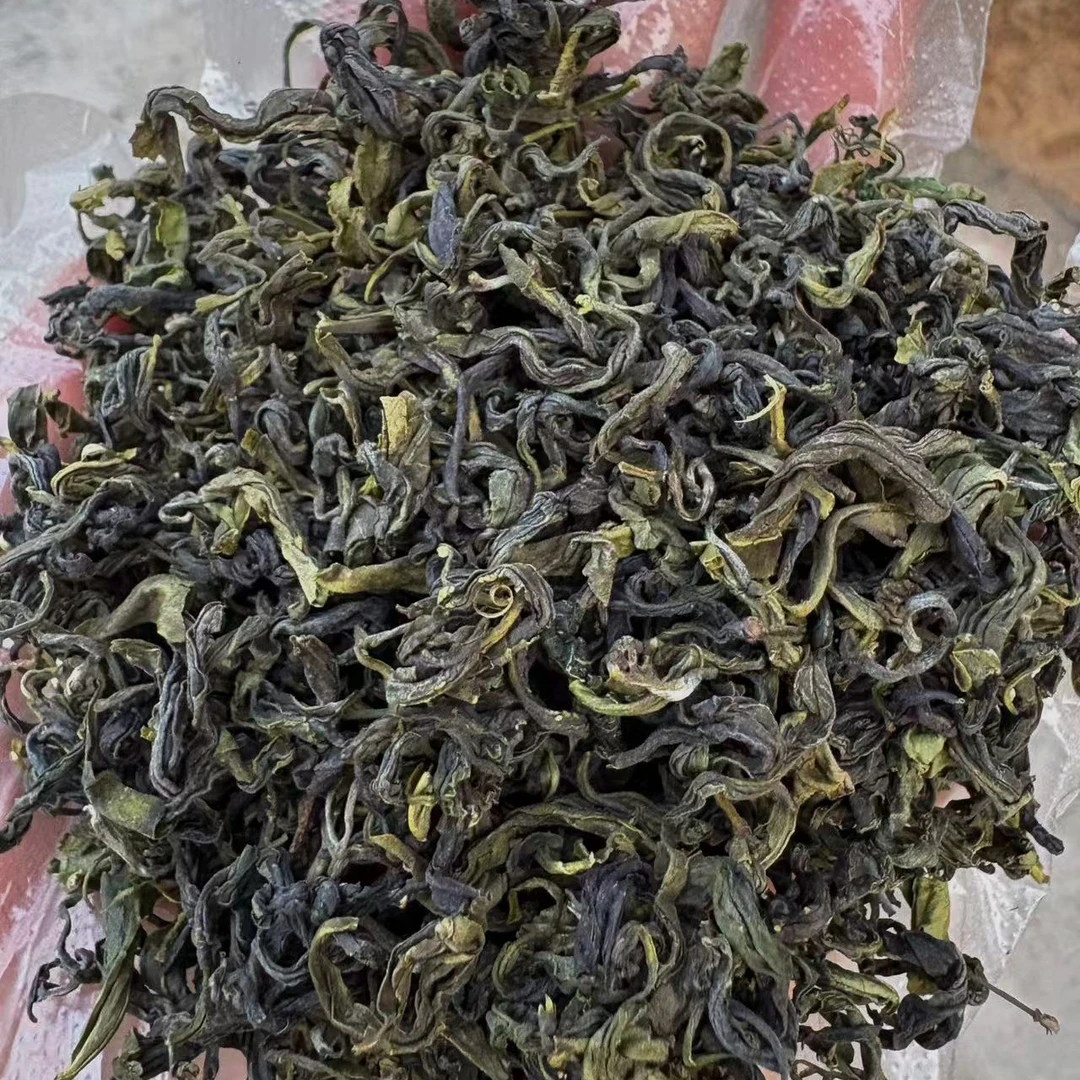 [日照绿茶2025年新茶]秋茶口粮茶实惠浓香型栗香