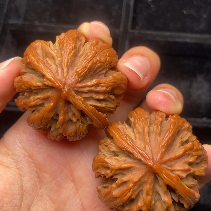 文玩核桃手串秦岭核桃