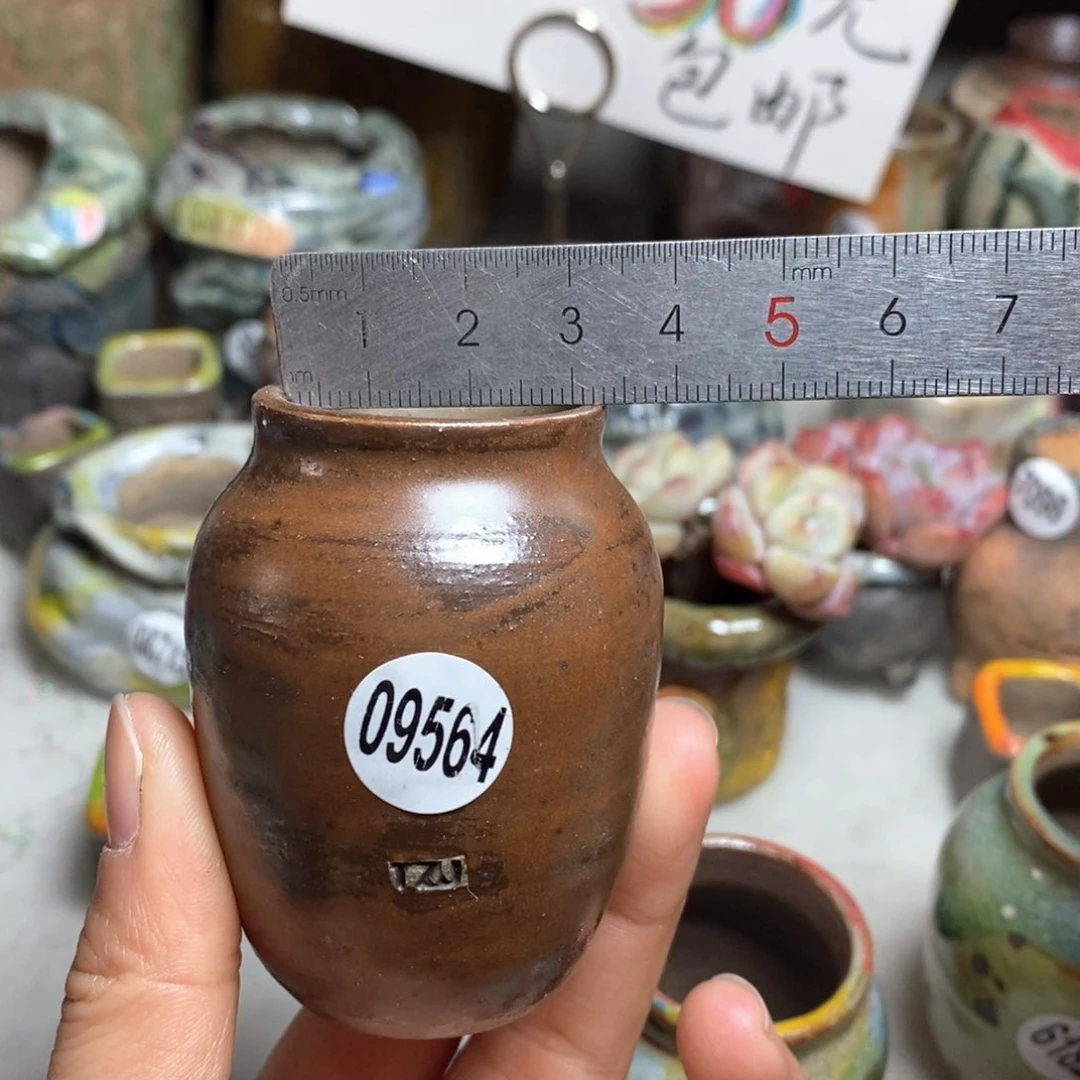 花盆拍5送一个小礼物