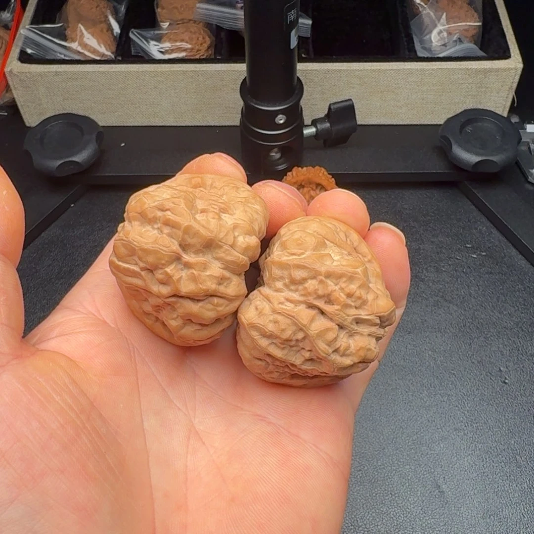 核桃把件43+全品蛙蛙（有黄尖）