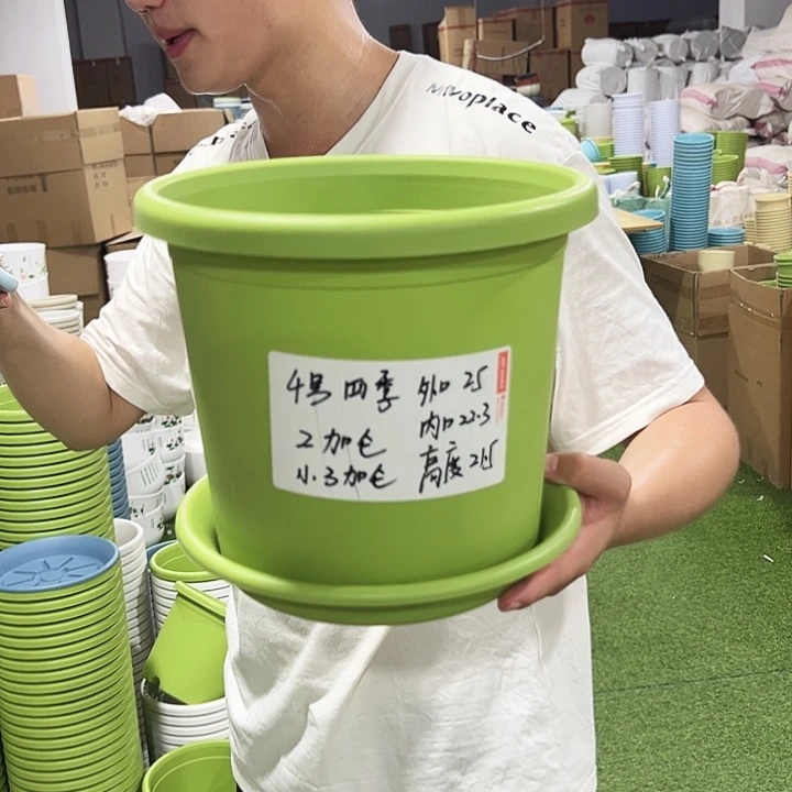 特价4号口25高21.5果绿带托6只