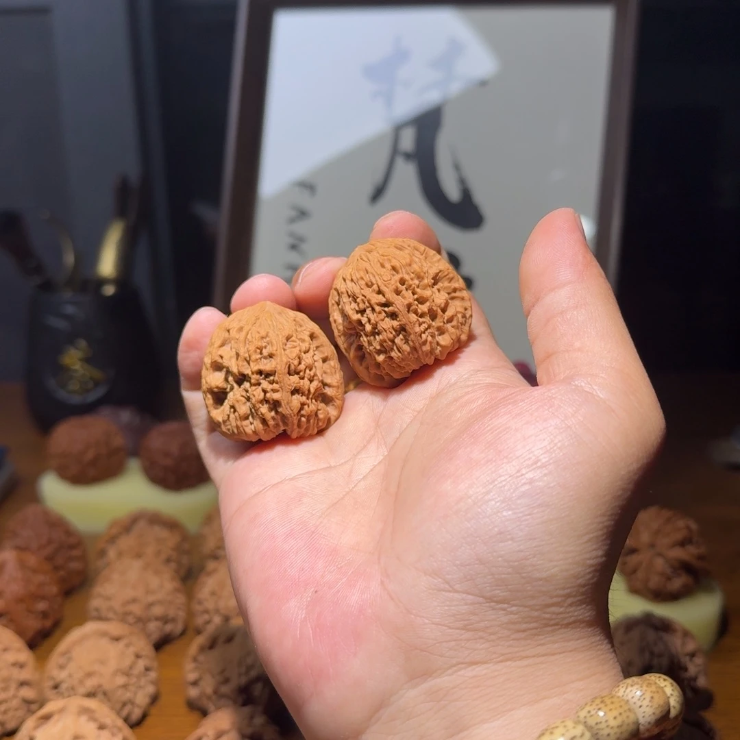 ？36尺寸姜黄皮逐鹿南疆全品