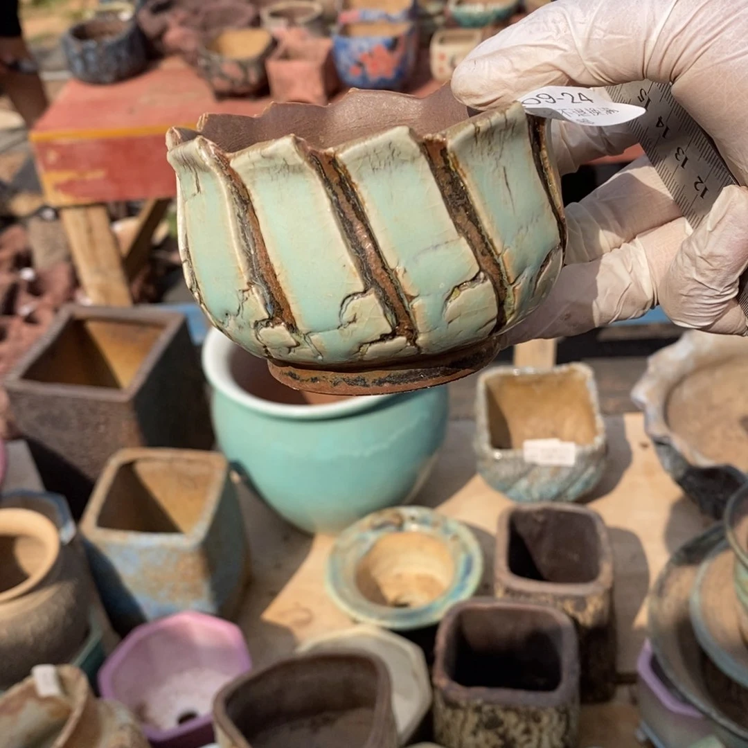 红陶晴**李24号多肉盆一个呀