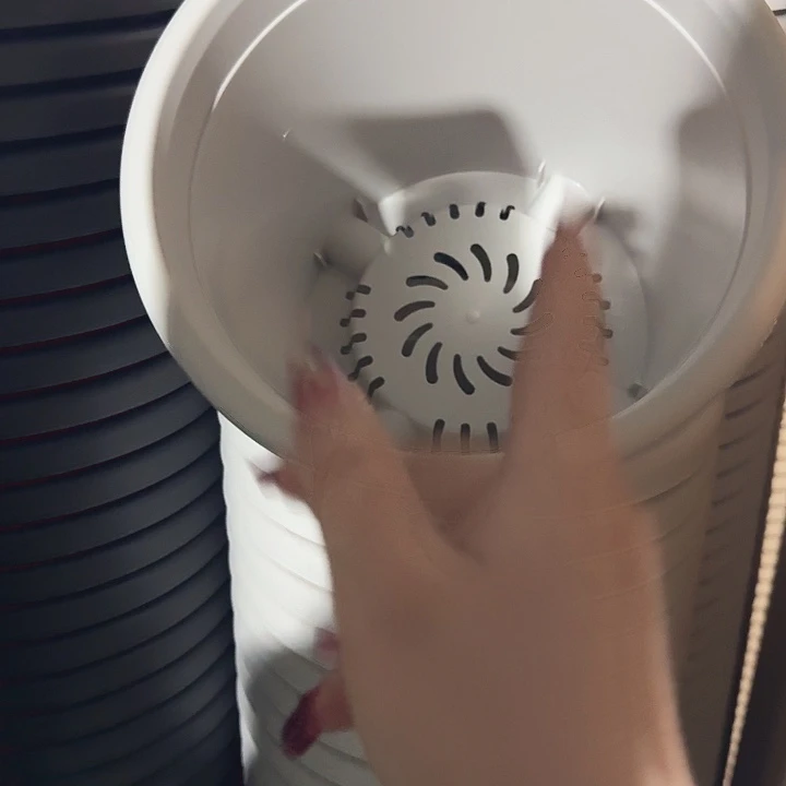 四季4号灰白无托8个特价微瑕