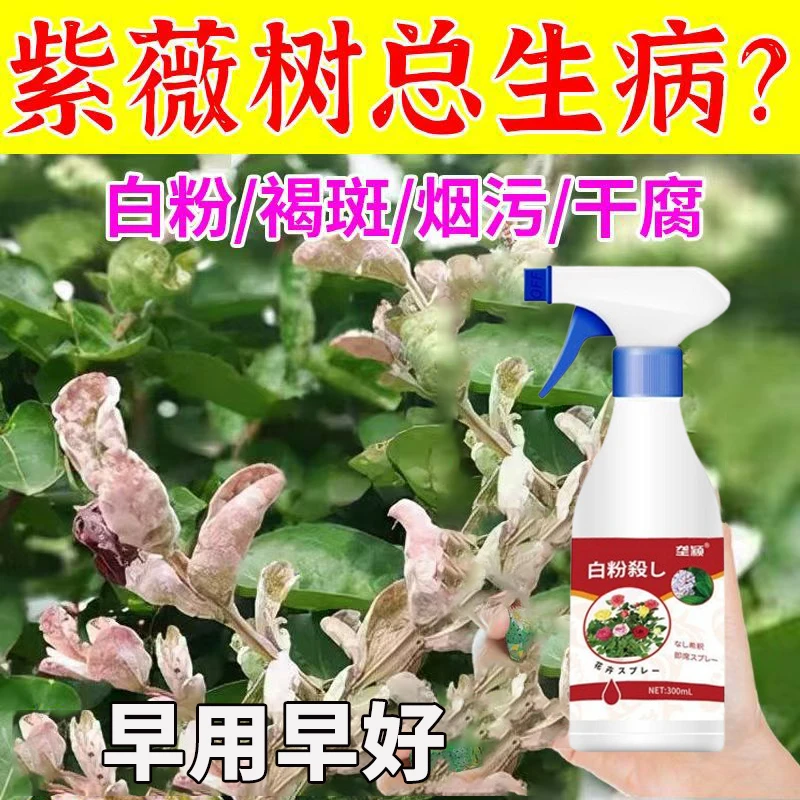 紫薇树白粉病专用营养液急救紫薇叶面白粉月季兰花玫瑰通用营养液