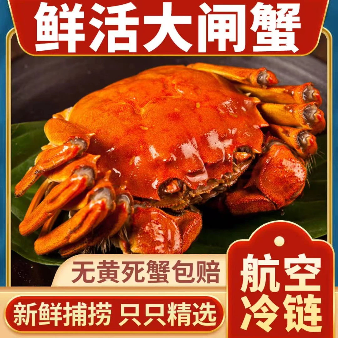 【活蟹】江苏大闸蟹 公蟹4.0-3.8两5只+母蟹3.1-2.8两5只 共10只装