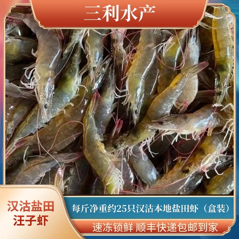 汉利【汪子虾】21-25只/斤 高盐度汉沽盐田汪子虾 速冻锁鲜虾精品