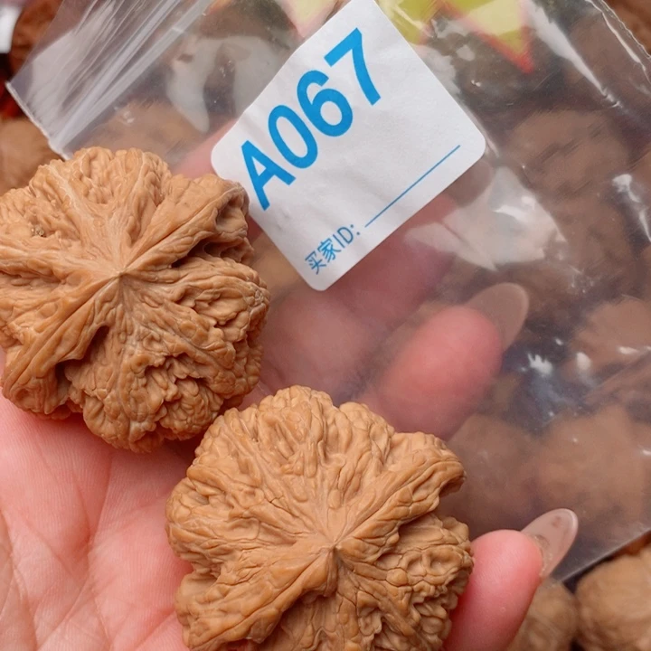 粗筋47尺067号123
