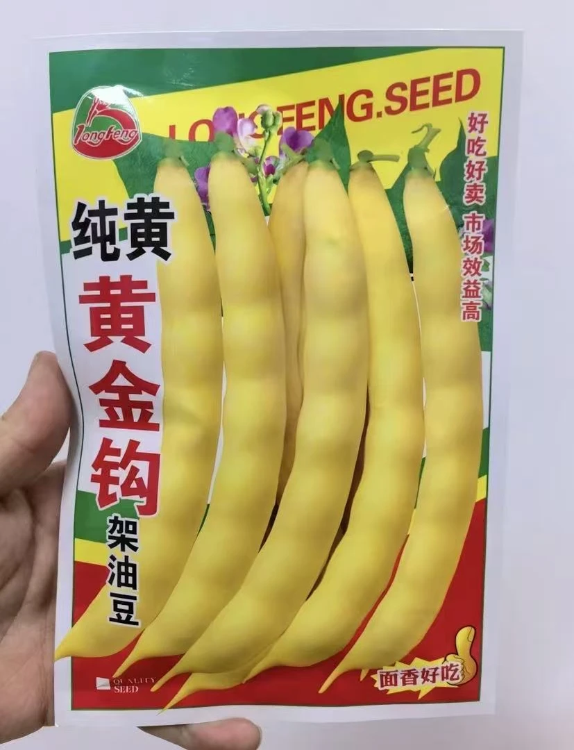 【不搭架黄金勾豆角种子】家庭阳台小院盆栽地栽四季种植