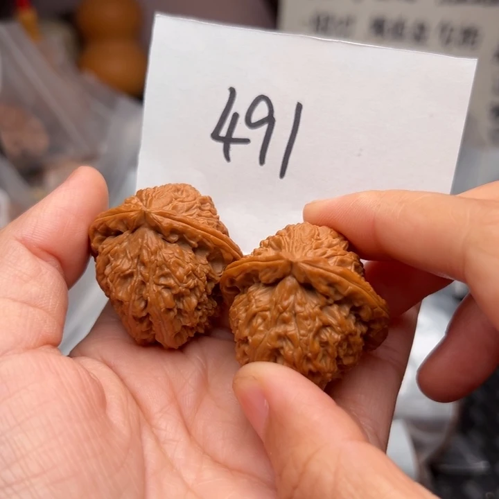 365尺寸打底无修白狮子
