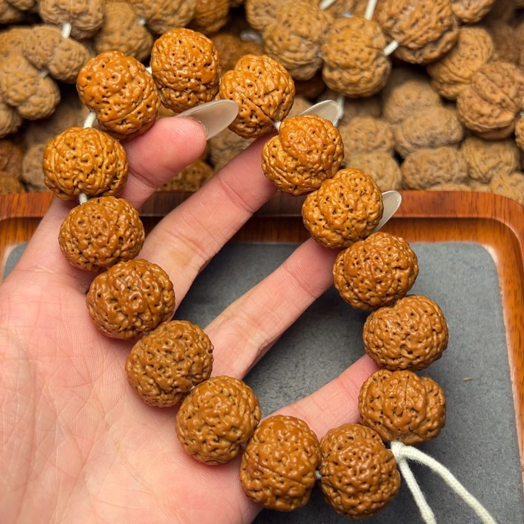 菩提34号尼泊尔大金刚20.5-21五星蜂王菠萝蜜