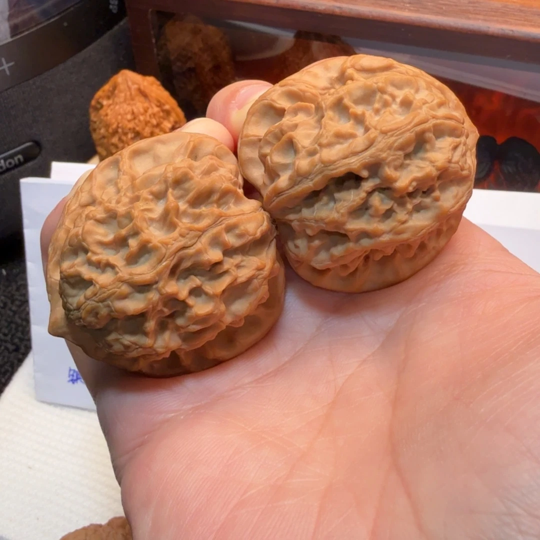 核桃40+全品梨木台