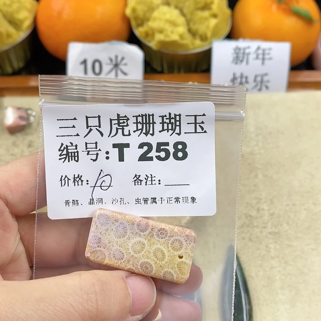 硅化珊瑚（珊瑚玉）1未镶嵌华****馆